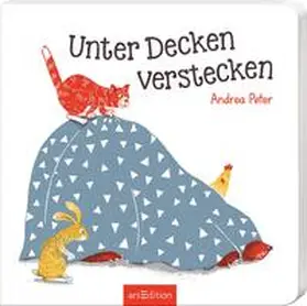Peter |  Unter Decken verstecken | Buch |  Sack Fachmedien