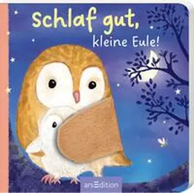Harmer |  Schlaf gut, kleine Eule! | Buch |  Sack Fachmedien