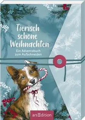  Tierisch schöne Weihnachten | Buch |  Sack Fachmedien