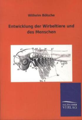Bölsche |  Entwicklung der Wirbeltiere und des Menschen | Buch |  Sack Fachmedien