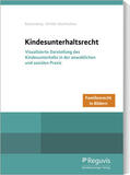Rosenzweig / Schöler-Stambulova |  Familienrecht in Bildern - Kindesunterhalt | Buch |  Sack Fachmedien