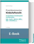 Heilmann |  Praxiskommentar Kindschaftsrecht (E-Book) | eBook | Sack Fachmedien