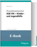 Möller |  Praxiskommentar SGB VIII – Kinder- und Jugendhilfe (E-Book) | eBook | Sack Fachmedien