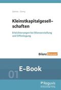 Zwirner / Zimny |  Kleinstkapitalgesellschaften (E-Book) | eBook | Sack Fachmedien