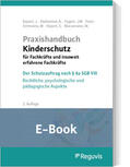 Dexheimer / Fegert / Macsenaere |  Praxishandbuch Kinderschutz für Fachkräfte und insoweit erfahrene Fachkräfte (E-Book) | eBook | Sack Fachmedien