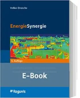 Drusche |  EnergieSynergie (E-Book) | eBook | Sack Fachmedien