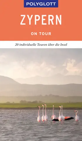 Braun | POLYGLOTT on tour Reiseführer Zypern | Buch | 978-3-8464-0464-5 | sack.de