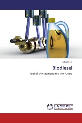 Patni |  Biodiesel | Buch |  Sack Fachmedien