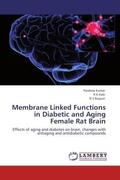 Kumar / Kale / Baquer |  Membrane Linked Functions in Diabetic and Aging Female Rat Brain | Buch |  Sack Fachmedien