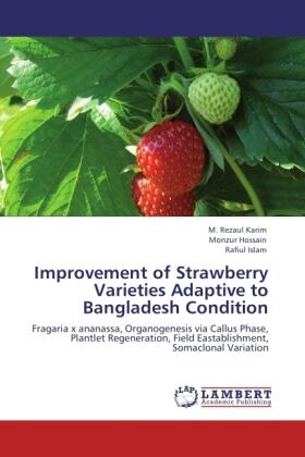 Karim / Hossain / Islam |  Improvement of Strawberry Varieties Adaptive to Bangladesh Condition | Buch |  Sack Fachmedien