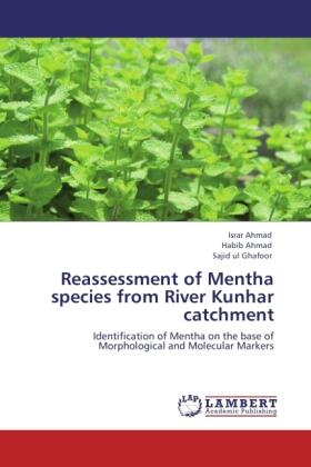 Ahmad / Ghafoor |  Reassessment of Mentha species from River Kunhar catchment | Buch |  Sack Fachmedien