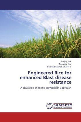 Jha / Chattoo |  Engineered Rice for enhanced Blast disease resistance | Buch |  Sack Fachmedien