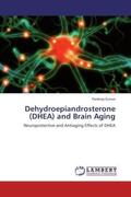 Kumar |  Dehydroepiandrosterone (DHEA) and Brain Aging | Buch |  Sack Fachmedien