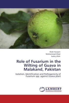 Hussain / Afzal / Ullah |  Role of Fusarium in the Wilting of Guava in Malakand, Pakistan | Buch |  Sack Fachmedien