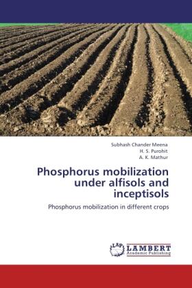 Meena / Purohit / Mathur |  Phosphorus mobilization under alfisols and inceptisols | Buch |  Sack Fachmedien