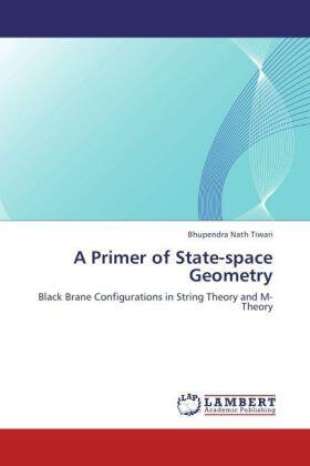 Tiwari |  A Primer of State-space Geometry | Buch |  Sack Fachmedien