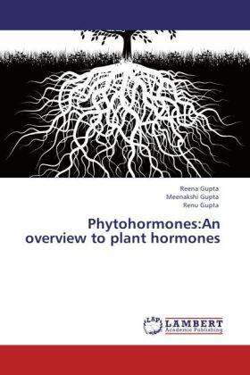 Gupta |  Phytohormones:An overview to plant hormones | Buch |  Sack Fachmedien