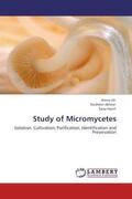 Ali / Akhtar / Hanif |  Study of Micromycetes | Buch |  Sack Fachmedien