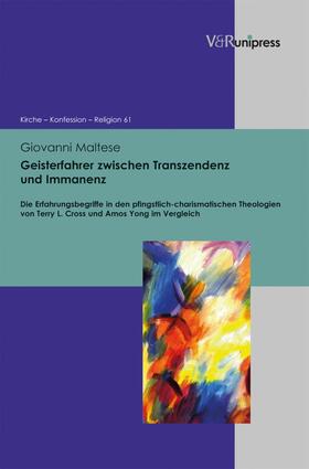 Maltese / Fleischmann-Bisten / Barth | Geisterfahrer zwischen Transzendenz und Immanenz | E-Book | sack.de