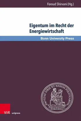 Shirvani |  Eigentum im Recht der Energiewirtschaft | eBook | Sack Fachmedien