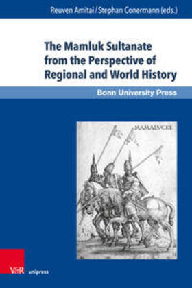 Amitai / Conermann / Amitai-Preiss |  Mamluk Sultanate from the Perspective | Buch |  Sack Fachmedien