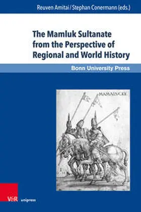 Amitai / Conermann / Amitai-Preiss |  Mamluk Sultanate from the Perspective | Buch |  Sack Fachmedien