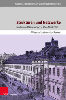 Angetter / Nemec / Posch |  Strukturen und Netzwerke | Buch |  Sack Fachmedien