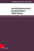 Barricelli / Yildirim |  Geschichtsbewusstsein - Geschichtskultur - Public History | Buch |  Sack Fachmedien