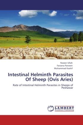 Ullah / Parveen / Kashif |  Intestinal Helminth Parasites Of Sheep (Ovis Aries) | Buch |  Sack Fachmedien