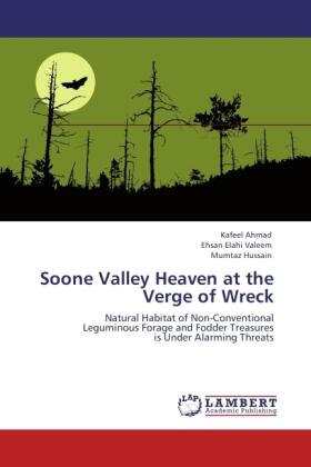 Ahmad / Valeem / Hussain |  Soone Valley Heaven at the Verge of Wreck | Buch |  Sack Fachmedien