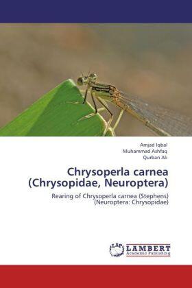 Iqbal / Ashfaq / Ali |  Chrysoperla carnea (Chrysopidae, Neuroptera) | Buch |  Sack Fachmedien