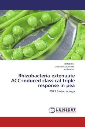 Bibi / Arshad / Ditta |  Rhizobacteria extenuate ACC-induced classical triple response in pea | Buch |  Sack Fachmedien