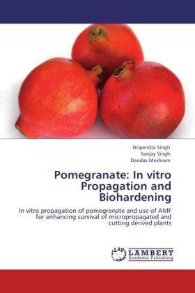 Singh / Meshram | Pomegranate: In vitro Propagation and Biohardening | Buch | 978-3-8473-3825-3 | sack.de