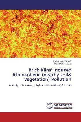 Ismail / Muhammad |  Brick Kilns' Induced Atmospheric (nearby soil & vegetation) Pollution | Buch |  Sack Fachmedien