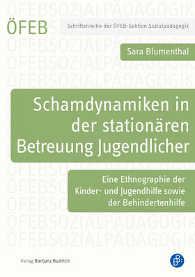 Blumenthal |  Schamdynamiken in der stationären Betreuung Jugendlicher | eBook | Sack Fachmedien