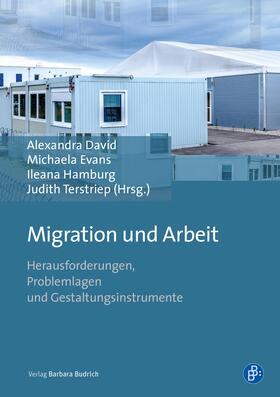 David / Evans / Hamburg |  Migration und Arbeit | Buch |  Sack Fachmedien