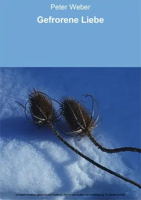 Weber |  Gefrorene Liebe | eBook | Sack Fachmedien