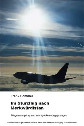 Sommer |  Im Sturzflug nach Merkwürdistan | eBook | Sack Fachmedien
