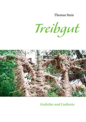 Stein |  Treibgut | Buch |  Sack Fachmedien