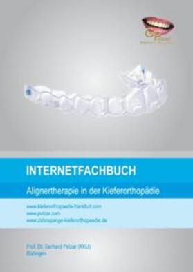 Polzar / Fischer | Internetfachbuch | Buch | 978-3-8482-2081-6 | sack.de