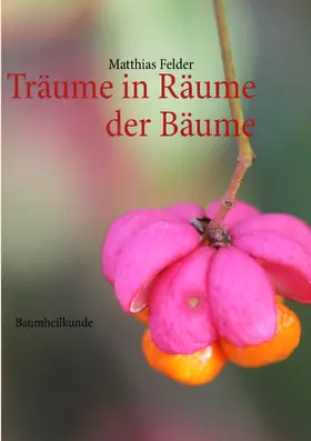 Felder |  Träume in Räume der Bäume | eBook | Sack Fachmedien