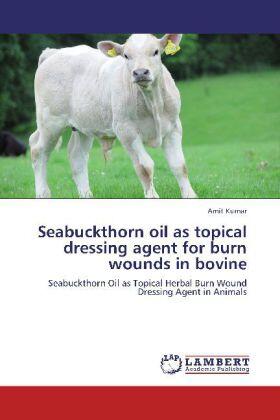 Kumar | Seabuckthorn oil as topical dressing agent for burn wounds in bovine | Buch | 978-3-8484-2394-1 | sack.de