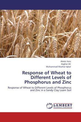 Aziz / Ali / Iqbal |  Response of Wheat to Different Levels of Phosphorus and Zinc | Buch |  Sack Fachmedien