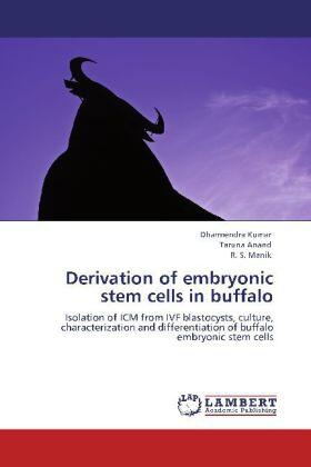 Kumar / Anand / Manik |  Derivation of embryonic stem cells in buffalo | Buch |  Sack Fachmedien