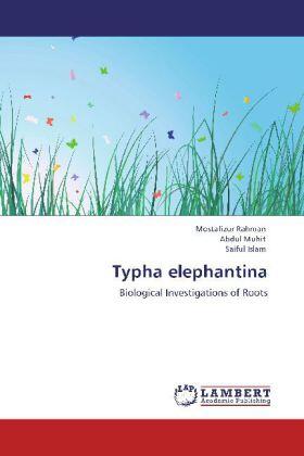 Rahman / Muhit / Islam |  Typha elephantina | Buch |  Sack Fachmedien