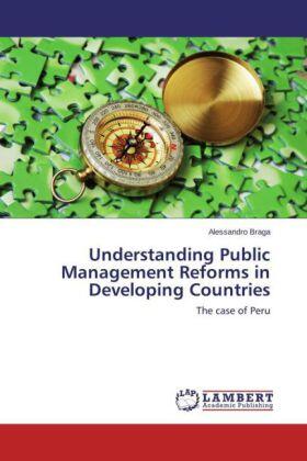 Braga |  Understanding Public Management Reforms in Developing Countries | Buch |  Sack Fachmedien
