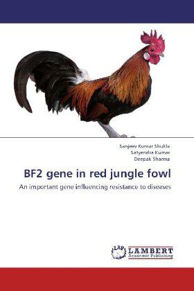 Shukla / Kumar / Sharma |  BF2 gene in red jungle fowl | Buch |  Sack Fachmedien