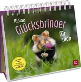 Rad |  Kleine Glücksbringer für dich | Buch |  Sack Fachmedien