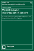 Ludwig |  Mitbestimmung im europäischen Konzern | Buch |  Sack Fachmedien