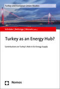 Schröder / Bettzüge / Wessels |  Turkey as an Energy Hub? | Buch |  Sack Fachmedien